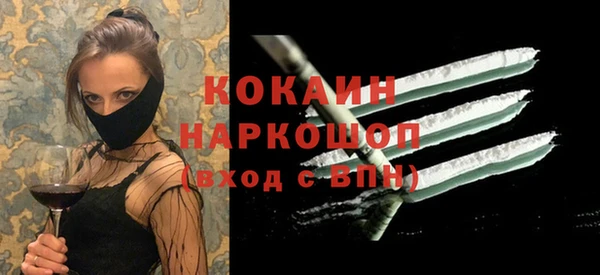 твердый Сатка