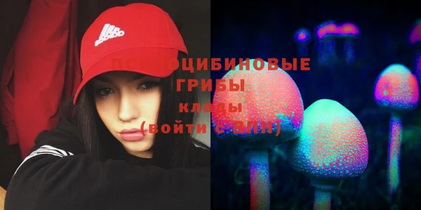 дживик Абинск