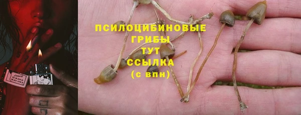 дживик Абинск