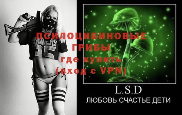 соль ск Дрезна