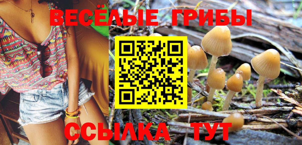 Галлюциногенные грибы ЛСД Искитим