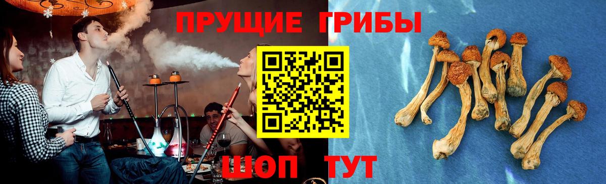 Галлюциногенные грибы Cubensis  Вход с VPN  Искитим  Галлюциногенные грибы ЛСД 
